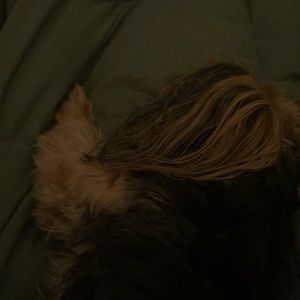 Meet your Posher, Robin